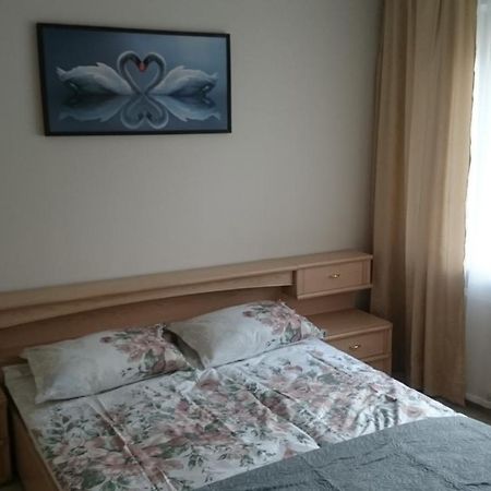 Cosy Appartment In Great Location Kaunas Buitenkant foto