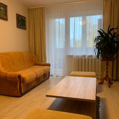 Cosy Appartment In Great Location Kaunas Buitenkant foto